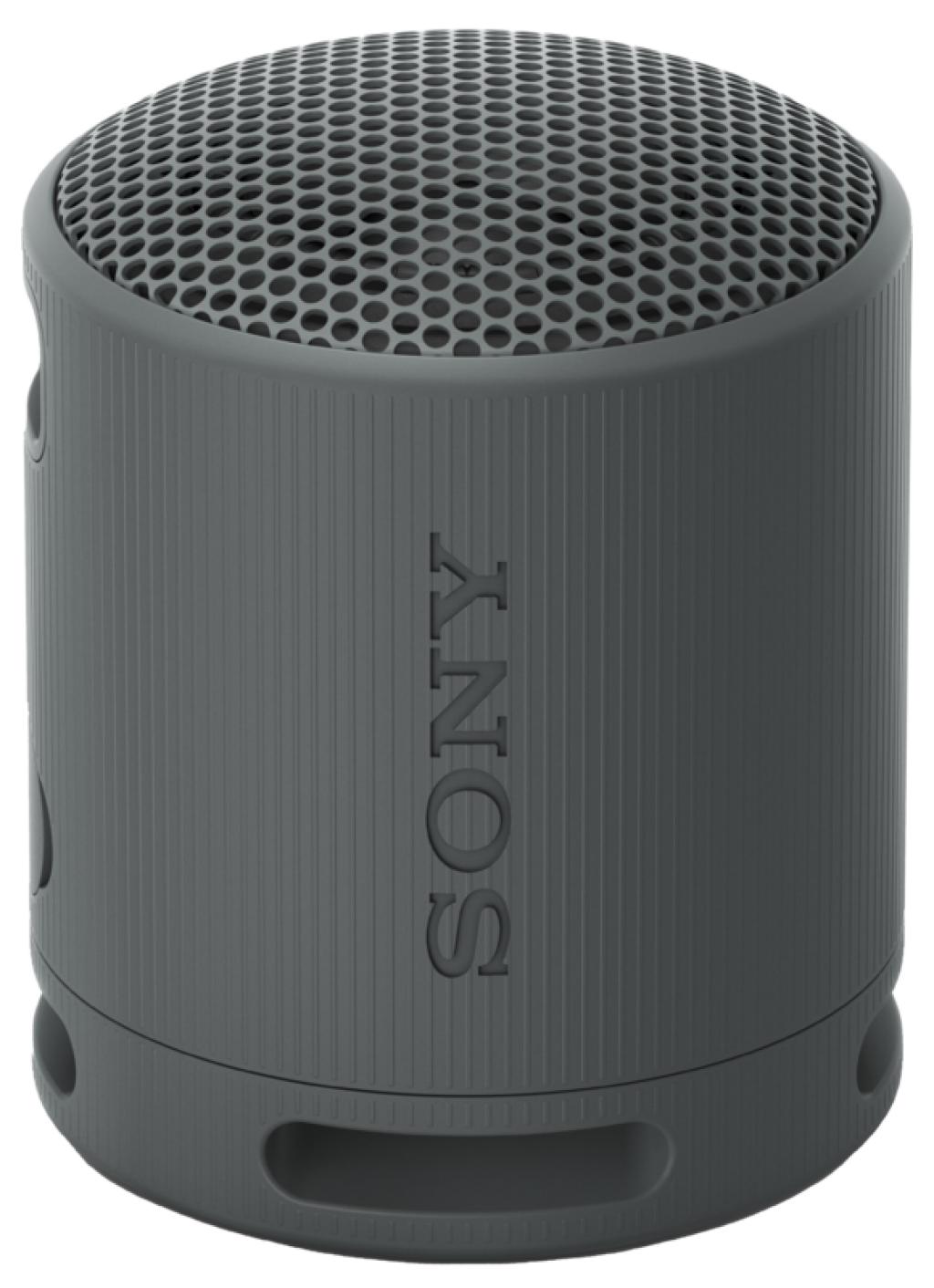 Boxa Activa Sony SRS-XB100