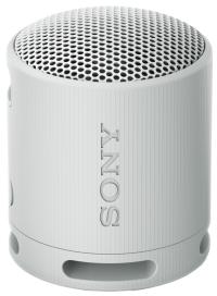 Boxa Activa Sony SRS-XB100