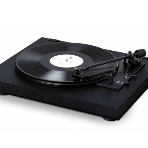 Pick-Up Pro-Ject A1 - imagine 1