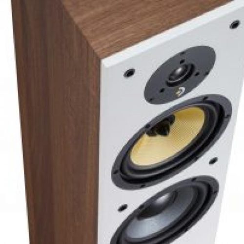 Boxe Davis Acoustics Ariane 5 Walnut - imagine 5