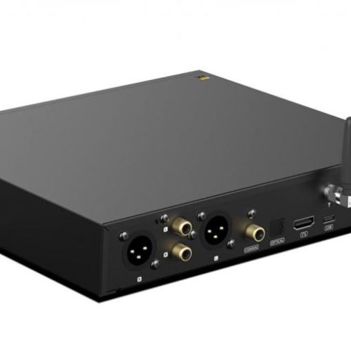 DAC SMSL DL300 - imagine 2