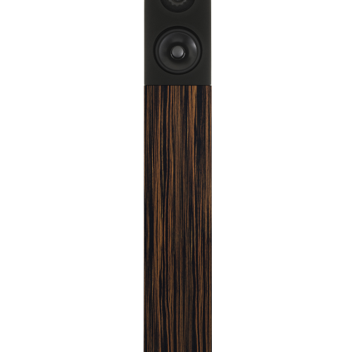 Boxe Audio Physic Avanti 35 Ebony - imagine 1