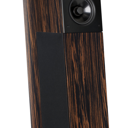 Boxe Audio Physic Avantera III Ebony - imagine 1