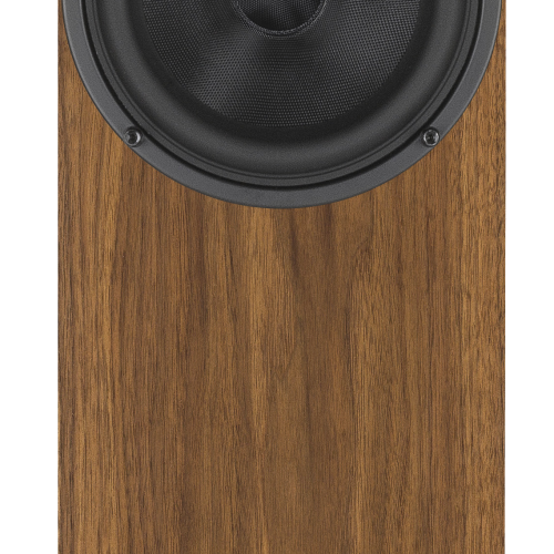 Boxe Audio Physic Classic 8 Walnut - imagine 1