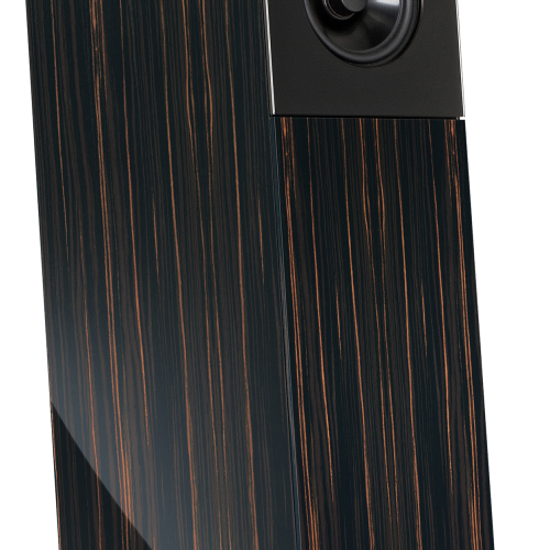 Boxe Audio Physic Codex Black Ebony High Gloss - imagine 1