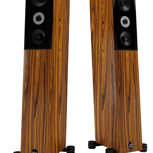 Boxe Audio Physic Codex Rosewood High Gloss - imagine 1