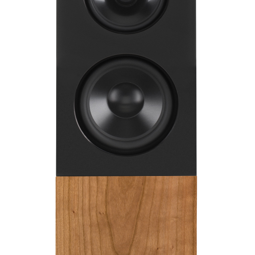 Boxe Audio Physic Midex Cherry - imagine 1