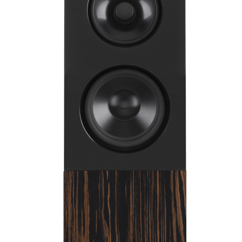 Boxe Audio Physic Midex Ebony - imagine 1