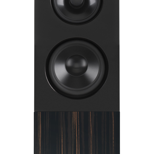 Boxe Audio Physic Midex Black Ebony High Gloss - imagine 1