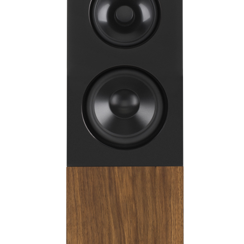 Boxe Audio Physic Midex Walnut - imagine 1