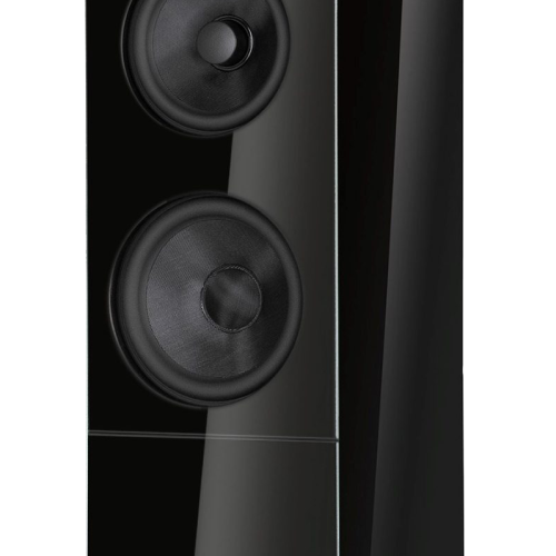 Boxe Audio Physic Classic 35 Negru Lucios - imagine 3