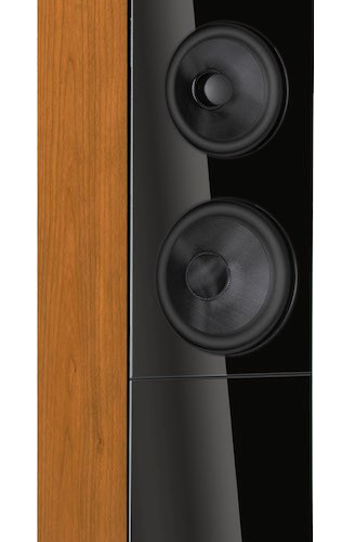 Boxe Audio Physic Classic 32 Cherry - imagine 4