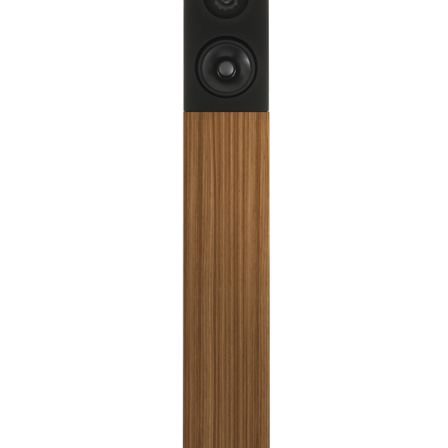 Boxe Audio Physic Avanti 35 Walnut - imagine 1