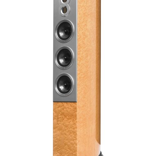 Boxe Audiovector R 10 Arrete Canadian Birdseye Mable Piano - imagine 1