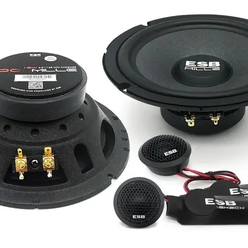 Boxe Auto ESB 1000 1.6K2 - imagine 1