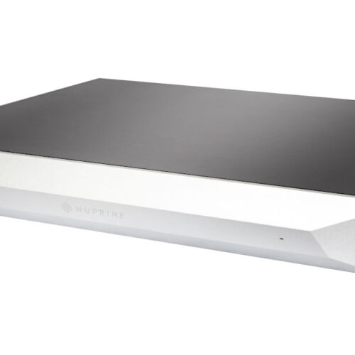 Amplificator de Putere NUPRiME Evolution Two-SE Argintiu - imagine 1