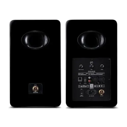 Boxe Active HiVi Swan H6 - imagine 5
